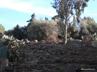 pomulini-11-03-2013 08-21-14